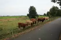Familienausflug auf die Wiese. 
