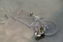 Diese Stockente hat auf dem alten Fahrrad einen Ruheplatz gefunden, oder hat sie das Diebesgut beschlagnahmt? Weimar am 24.5.2010. 