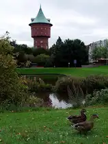 2 Entendamen inspizieren die Stadt an der Elbm�ndung;090831