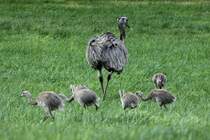 Und schon geht es weiter!