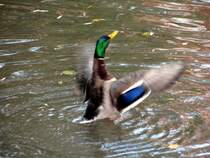 hebe ich nun ab oder nicht!?