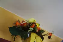 Kanarienvogel Merlin am 31.08.2011.