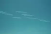 Einige Gruppe Krokodil-Hornhechte (Tylosurus crocodilus) durchstreifen die Lagune.Ari-Atoll, Malediven