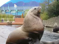 SEEL�WE IN HOLLAND IN EINEM FREITZEITPARK
