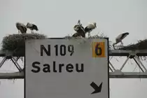 Jede Menge br�tende Wei�st�rche auf einigen Autobahnschilderbr�cken. 19.6.2010 bei Angeja.