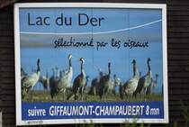 Auf ihrem gut 4.000 km langen Zugweg von Nordeuropa in die spanische Extremadura legen die groen Kranichgruppen jeden Herbst einen langen Zwischenstopp am Lac du Der in der sdlichen Champagne ein. Bis zu 80.000 Kraniche beziehen dann hier von Oktober bis Dezember ihr Herbstquartier.