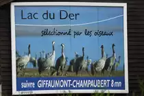 Auf ihrem gut 4.000 km langen Zugweg von Nordeuropa in die spanische Extremadura legen die großen Kranichgruppen jeden Herbst einen langen Zwischenstopp am Lac du Der in der südlichen Champagne ein. Bis zu 80.000 Kraniche beziehen dann hier von Oktober bis Dezember ihr Herbstquartier.