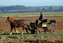 1 PS mit H�nger unterwegs auf Feldern bei Satzvey - 09.11.2011
