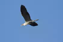 Beim �berflug - 20.05.2011
