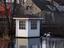 Direkt hinter den  Bahngleise die Schnefeld in Brandenburg erbarmungslos in zwei Hlften teilen, befindet sich der Schutzbereich fr die Tiere im  Flamingoteich. Aufnahme vom 25. Januar 2012.