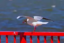 In Balance - 06.11.2011