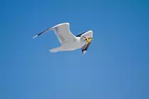 Der Gierschlund  - 11.02.2012