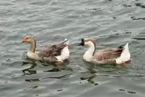 Herman Park, Houston, TX, 28.5.2009