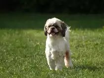 Timo
wo sind meine Freunde??