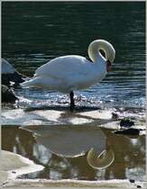 Blick in den Spiegel...
(28.02.2012) 