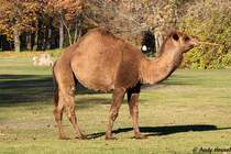  Hat mal jemand Feuer? 