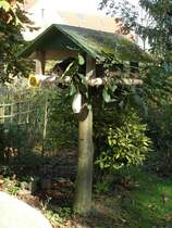 Futterhaus fr unsere gefiederten kleinen Freunde,auf lebendem Ekastanienstamm in Vennikel.September 2011.