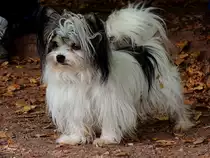 ....immer sch�n wachsam sein; 120826