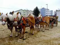 Haflinger im Vierergespann, warten auf den Einsatz zum Rieder-Pferdemarkt2013; 130402