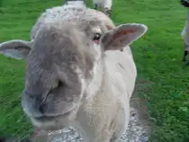 Skudde - Oberndorf an der Oste - Foto vom M�rz 2012