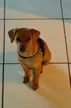 Guten Tag, ich hei�e Benji.
Mein Frauchen und Herrchen haben mich Gott sei Dank sooooooooooooo lieb.
Auch wenn ich mit meinen fast drei Monaten viel Unsinn mache, so bereite ich ihnen doch sehr viel Freude. 29.7.2014
