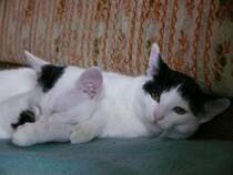 Paul und Paulchen beim relaxen. 