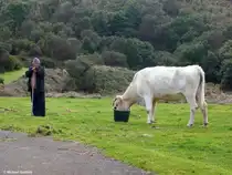 Szene auf der Hochebene  Pa�l da Serra  auf Madeira (Februar 2014)