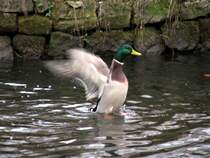 nach dem Putzen noch strecken