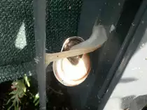 Ich bin zwar nicht schnell und kann auch nicht springen aber daf�r mich sehr dehnen.
Eine Schnecke beim strecken zum n�chsten Zaunelement.

Essen 21.09.2014