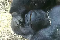 Neiiiin, ist der immer noch nicht fertig?