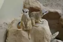 Einer passt immer auf.