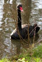 was schaust Du so traurig?