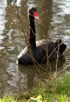 was schaust Du so traurig?