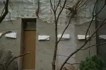 Zur Zeit werden am Vogelhaus die Au�en-Volieren vervollst�ndigt. Fertig gestellt werden sie einen sehr realistischen Freiflugraum f�r die gefiederten Bewohner bieten. Die Illusion der Naturn�he wird von den Handwerkern spektakul�r umgesetzt. Die Au�en-Volieren, die sich um das gesamte Vogelhaus gruppieren, werden mit Hilfe diverser Materialien (Stahlger�ste aus Stabmaterial, Gewebematten, Styropor, Wurzeln, Astwerk) ausgestattet. Spritzbeton und ein abschlie�ender geschickter Farbauftrag vervollst�ndigen das Werk. Foto:17.09.2015; Zoologischer Garten Berlin 