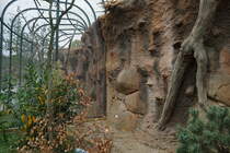 Zur Zeit werden am Vogelhaus die Auen-Volieren vervollstndigt. Fertig gestellt werden sie einen sehr realistischen Freiflugraum fr die gefiederten Bewohner bieten. Die Illusion der Naturnhe wird von den Handwerkern spektakulr umgesetzt. Die Auen-Volieren, die sich um das gesamte Vogelhaus gruppieren, werden mit Hilfe diverser Materialien (Stahlgerste aus Stabmaterial, Gewebematten, Styropor, Wurzeln, Astwerk) ausgestattet. Spritzbeton und ein abschlieender geschickter Farbauftrag vervollstndigen das Werk. Foto:17.09.2015; Zoologischer Garten Berlin 