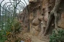 Zur Zeit werden am Vogelhaus die Au�en-Volieren vervollst�ndigt. Fertig gestellt werden sie einen sehr realistischen Freiflugraum f�r die gefiederten Bewohner bieten. Die Illusion der Naturn�he wird von den Handwerkern spektakul�r umgesetzt. Die Au�en-Volieren, die sich um das gesamte Vogelhaus gruppieren, werden mit Hilfe diverser Materialien (Stahlger�ste aus Stabmaterial, Gewebematten, Styropor, Wurzeln, Astwerk) ausgestattet. Spritzbeton und ein abschlie�ender geschickter Farbauftrag vervollst�ndigen das Werk. Foto:17.09.2015; Zoologischer Garten Berlin 