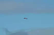 In der Luft steht dieser Sperber und beobachtet die anvisierte Beute. 21.11.2015