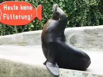 WENN EIN SEEHUND PROTESTIERT.....

dann gegen DAS,was auf dem Hinweisschild hinter ihm steht!!!!Habe ihn am 29.6.14
im WUPPERTALER Zoo fotografiert und ihn erst f�r eine Bronzestatue gehalten,weil

er so stoisch in dieser Pose verharrte- sich dann aber doch langsam mal bewegte....