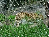 Es gibt auch wunderschne Zune im Serengetipark, 9.9.15
Dahinter versteckt sich ein Leopard im Gras...