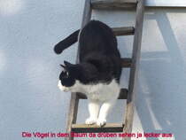 Elbisbach am 28.03.2016