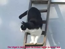 Elbisbach am 28.03.2016