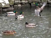 ich bin sch�n und Ihr ?