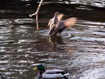 und noch eins zum schlu�