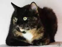 Unsere s��e Luna