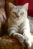 Sie hat schon ein Gesp�r f�r die Kamera