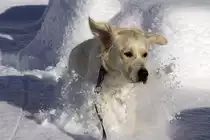 Cleo, 02.12.2009 Berg�n