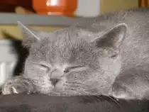 Nach dem Spielen bin ich auch mal m�de!!!