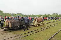Hier sind die Gr��e der Baumst�mme zu erkennen die beim Transport durch zwei Kaltbl�tler im Ziegeleipark Mildenberg in der Uckermark , hier - am 13. Mai 2017 -  gezogen wurden.

