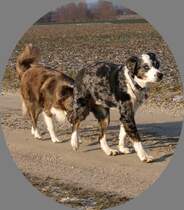 DJ und Sunna
komm wir suchen unsere staffelfreunde