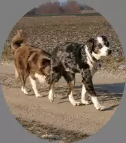 DJ und Sunna
komm wir suchen unsere staffelfreunde